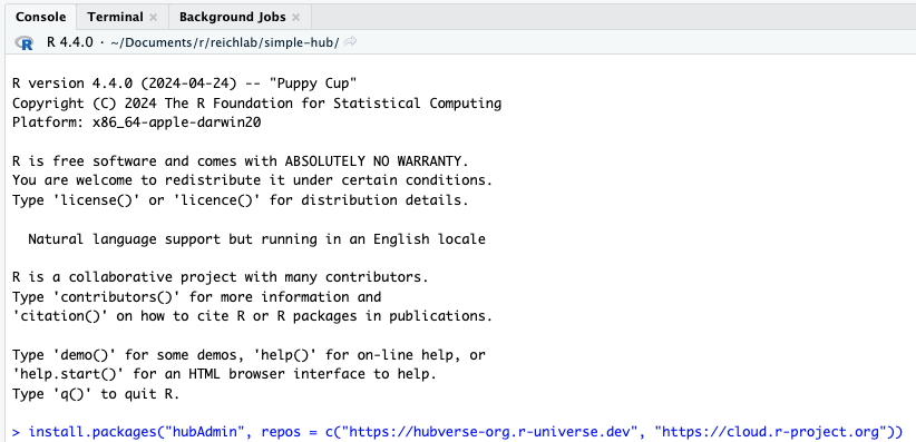 Screenshot showing command for installing hubAdmin package, as described in text.